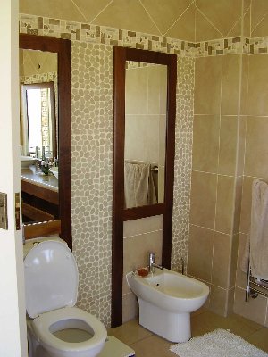 Solid Imbiua Mirror Frames